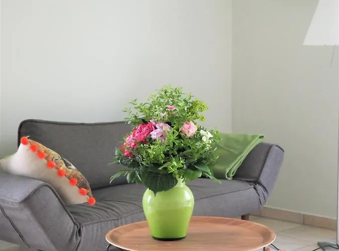 Schickes Wohnstudio Mit Garten Am Aasee
