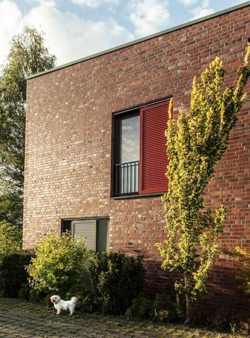 Schickes Wohnstudio Mit Garten Am Aasee